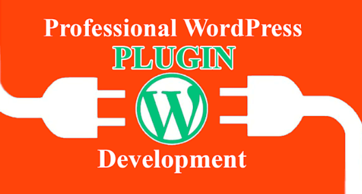 Professional WordPress Plugin Development Services
