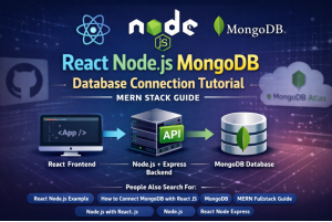 React Node.js MongoDB Database Connection