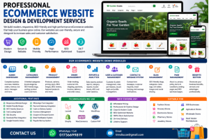 Custom Ecommerce Website Development Services with SEO Friendly Design